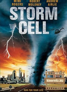 Штормовое предупреждение / Storm cell (2008) DVDRip