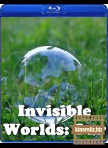 Невидимые миры: Наш мир