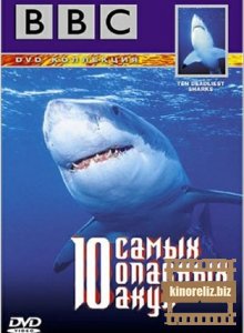 10 самых опасных акул