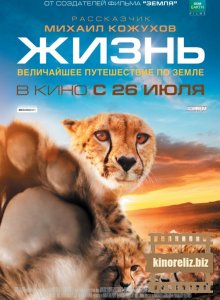 Одна жизнь 2011 Одна жизнь 2011